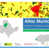Atlas municipal forestal y cobertura de la tierra Fraternidad